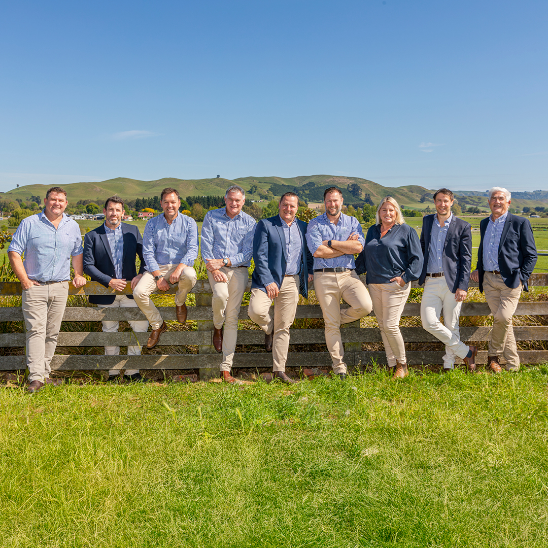 Hawkes Bay