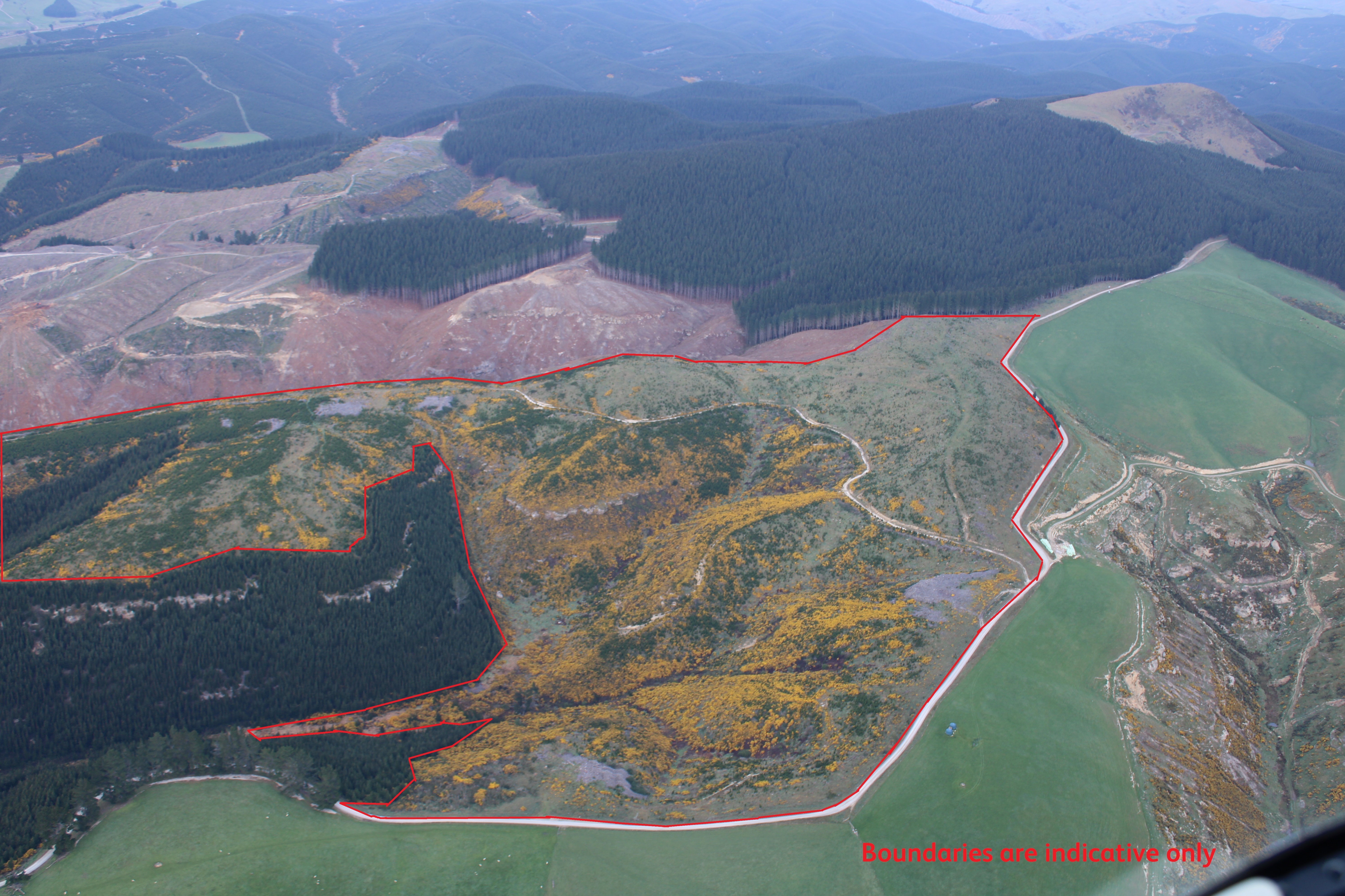 DNR193458