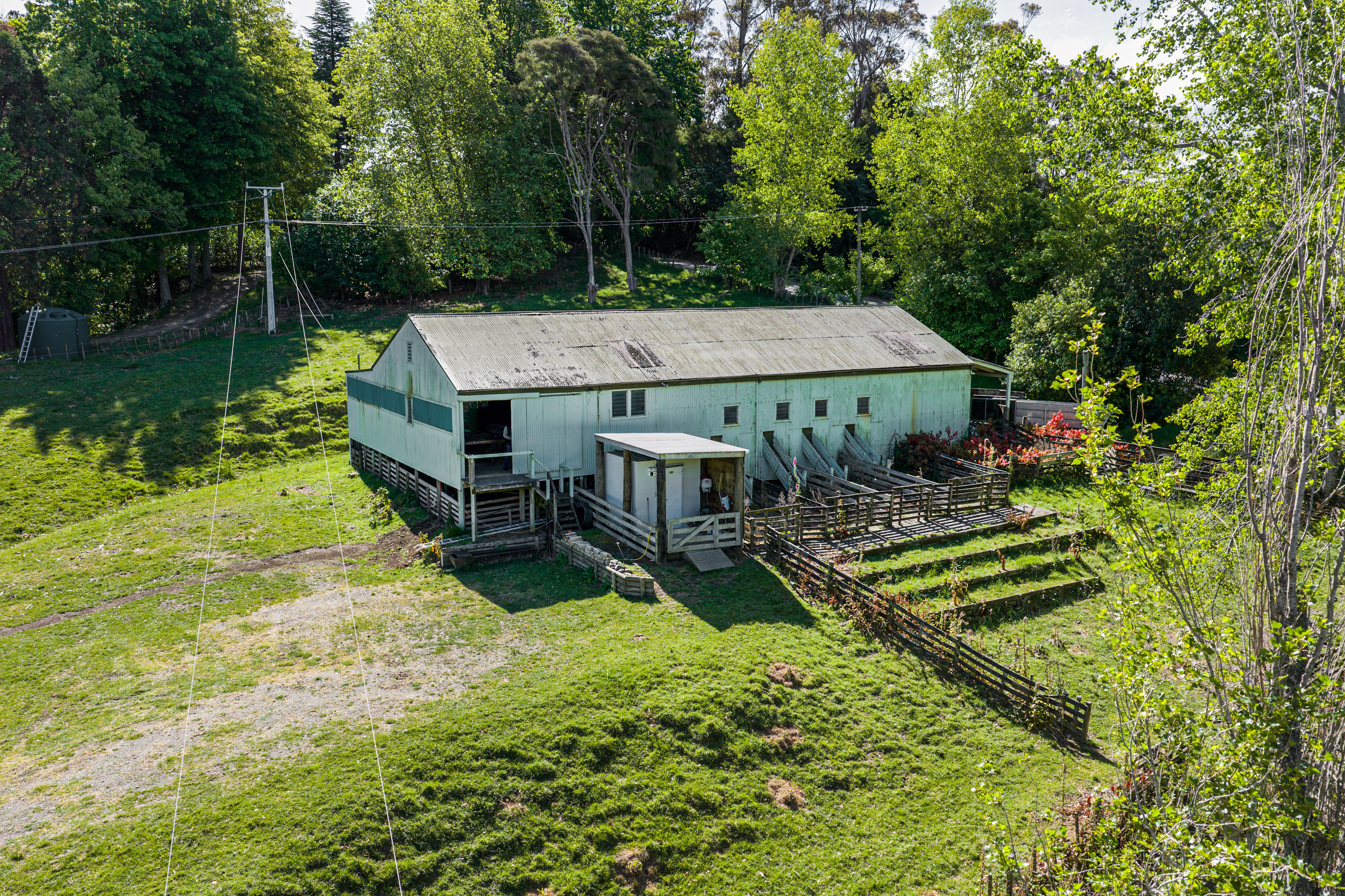 HL216390