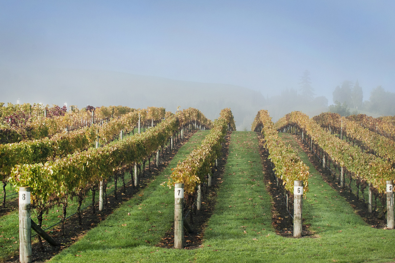 Havelock North
