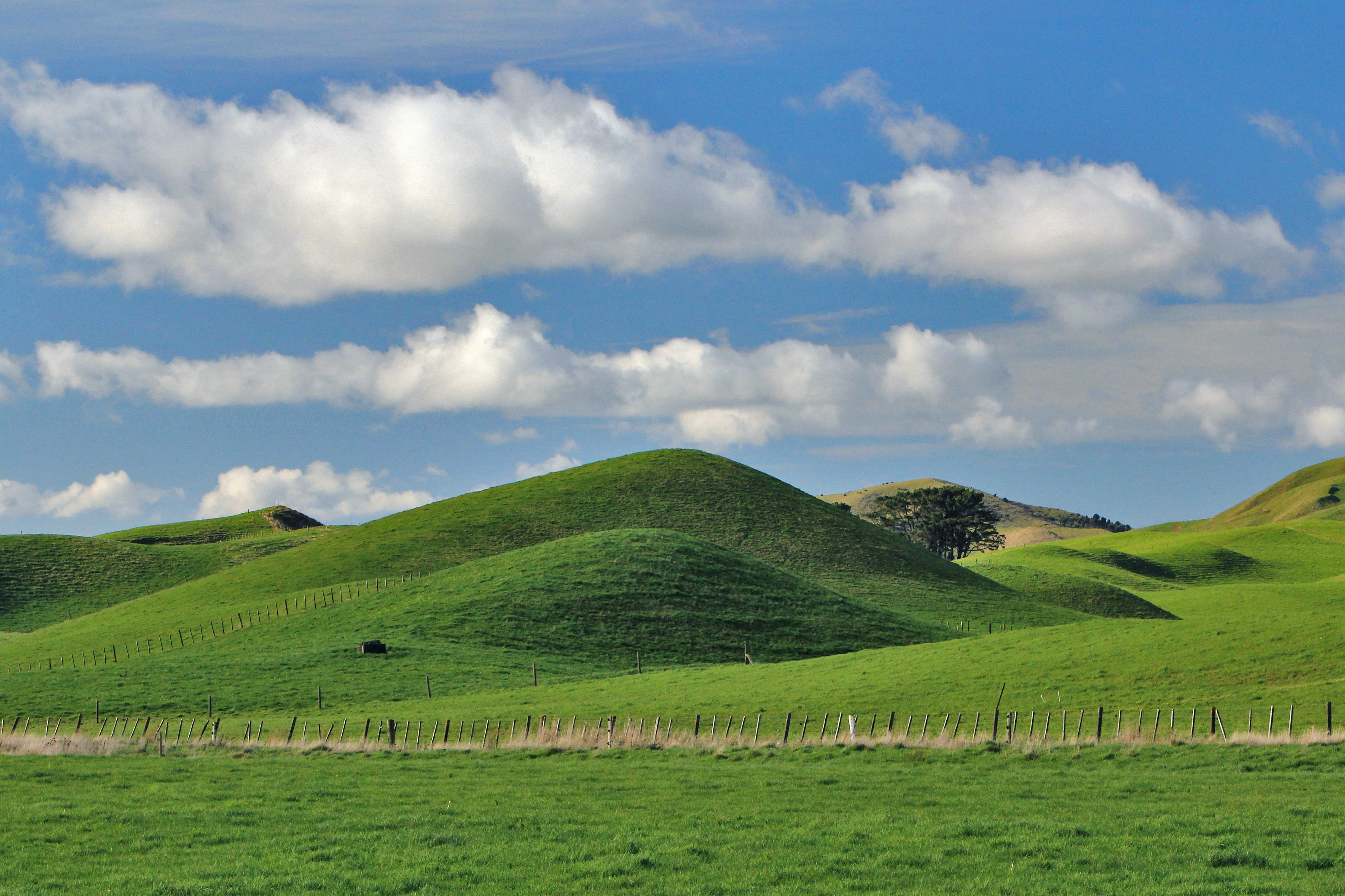 Eketahuna